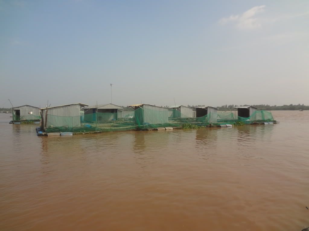 DSC00696.jpg