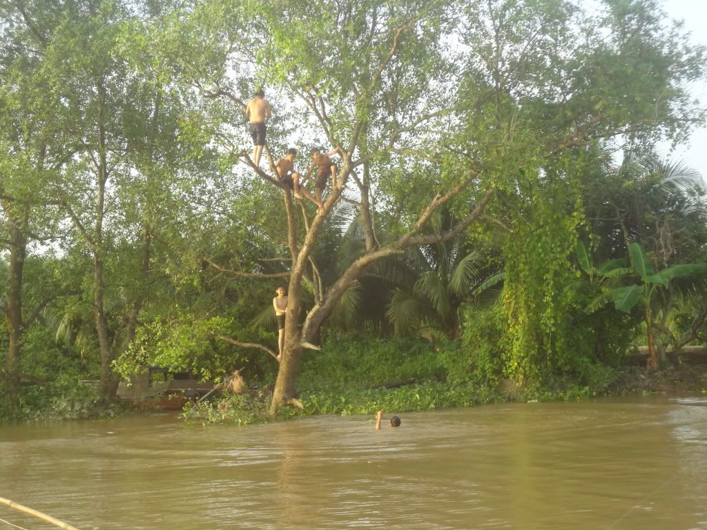 DSC00702.jpg