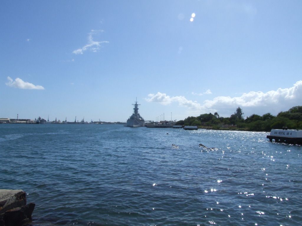 DSCF1105_zps15af17f6.jpg