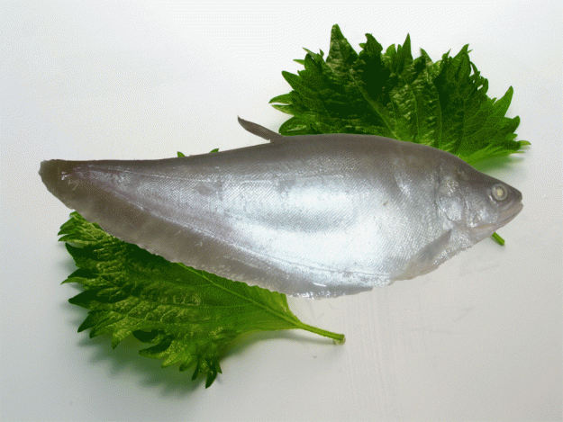 cathaclac_zps89681526.jpg