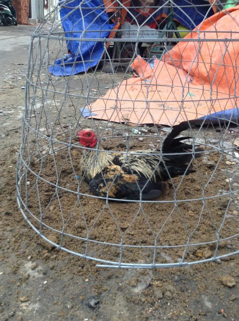 tre peru , tre my , tre lai ( mod vk e hu thong cam nhe) - 3