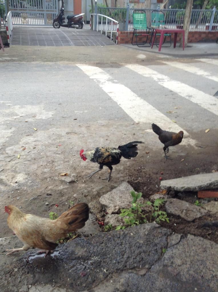 tre peru , tre my , tre lai ( mod vk e hu thong cam nhe) - 6