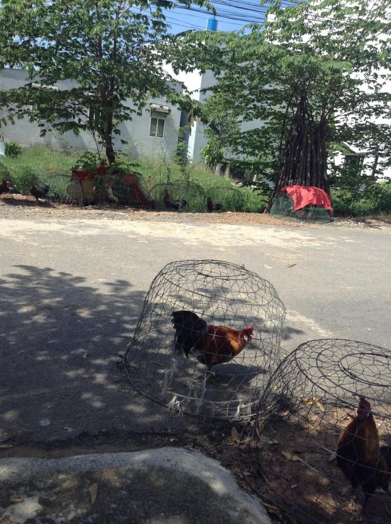 Tre peru . ga tre lon nho...! mod thong cam em vk bi hu roi - 6