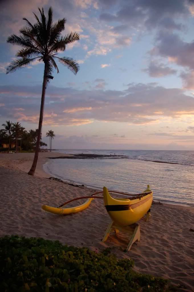 BEACH TIME.. Pictures, Images and Photos