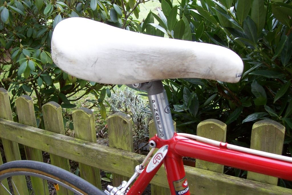  photo 104_1584_zpsyzclhao7.jpg