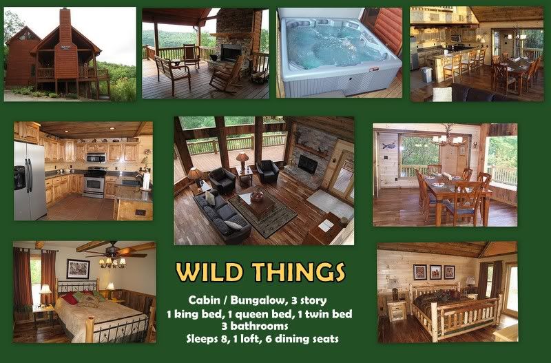 North GA Cabin Rentals