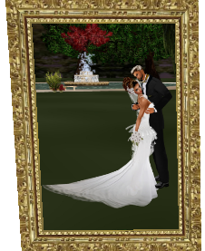  photo roseampmikewed_zpse995123d.png