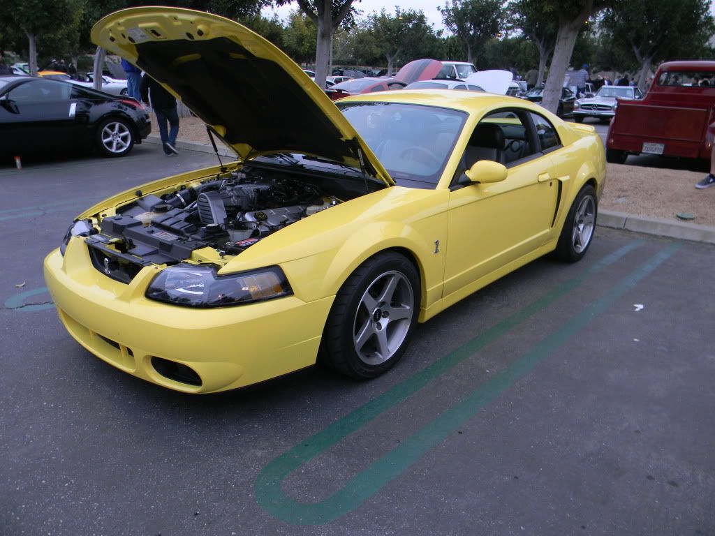 DSCN0316.jpg