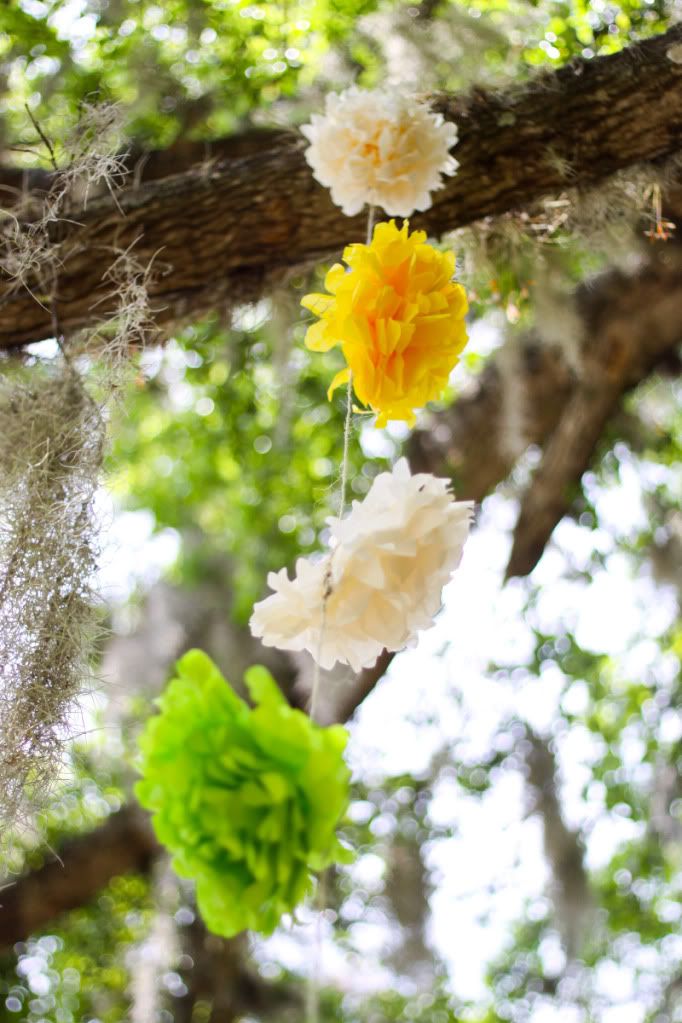 flower poms