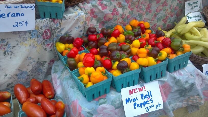 Peppers at Haile Plantation Farmer's Market