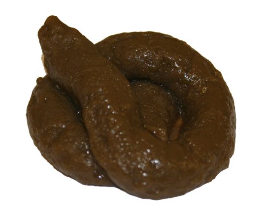 sticky_fake_dog_poo.jpg