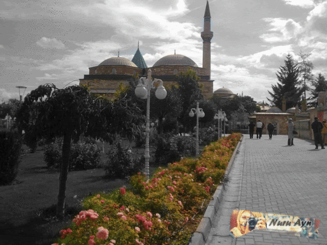 ~Güller İçinde Mevlanadan Esintiler~ ~Güller İçinde Mevlanadan Esintiler~