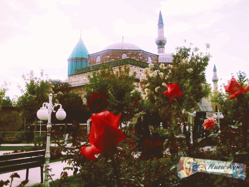 ~Güller İçinde Mevlanadan Esintiler~ ~Güller İçinde Mevlanadan Esintiler~