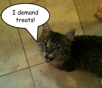 I_demand_treats.png