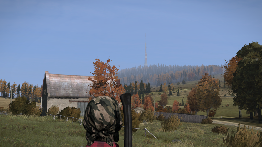 DayZ2013-12-2100-07-35-78_zpsbb29eb83.pn