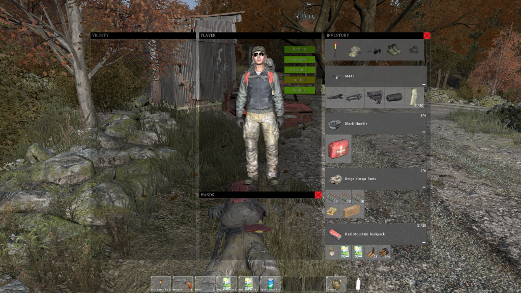 DayZ2014-02-0522-55-15-89_zpsda0e392f.pn