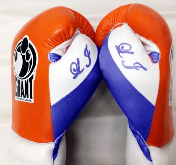 zepol boxing gloves