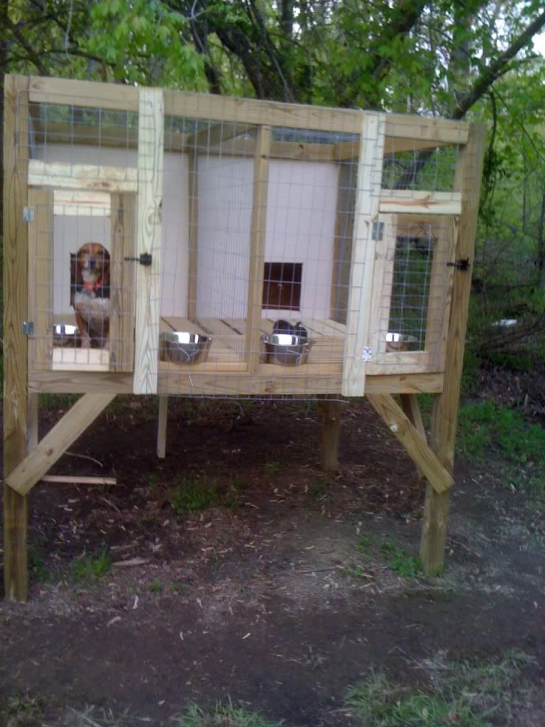 My new kennel Rabbit Dogs
