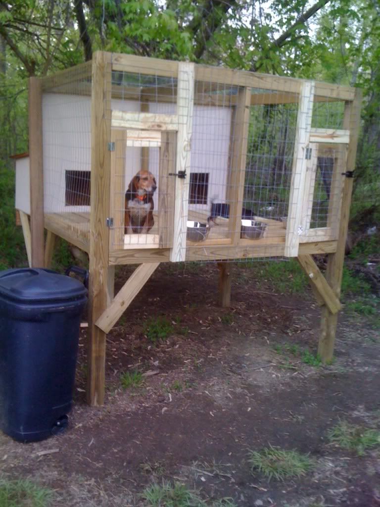 My new kennel Rabbit Dogs