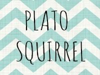 Plato Squirrel