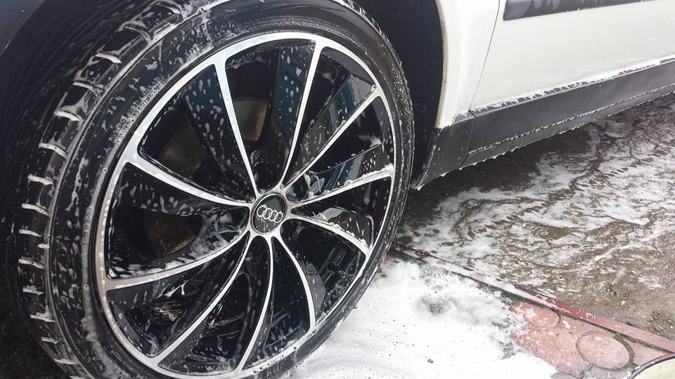 12803056_10201341065804476_8619958335701