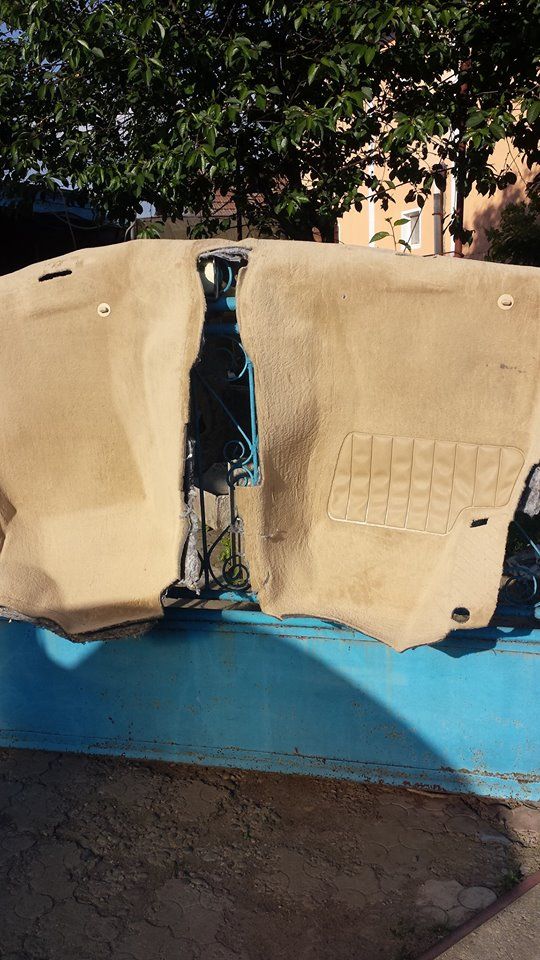 13254616_888879957908191_578692238677089