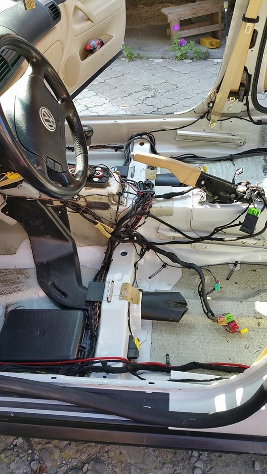 13627013_928583470604506_844763025533096