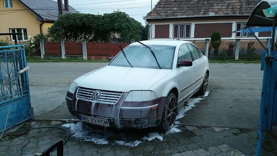 13669170_928534353942751_165399815691391