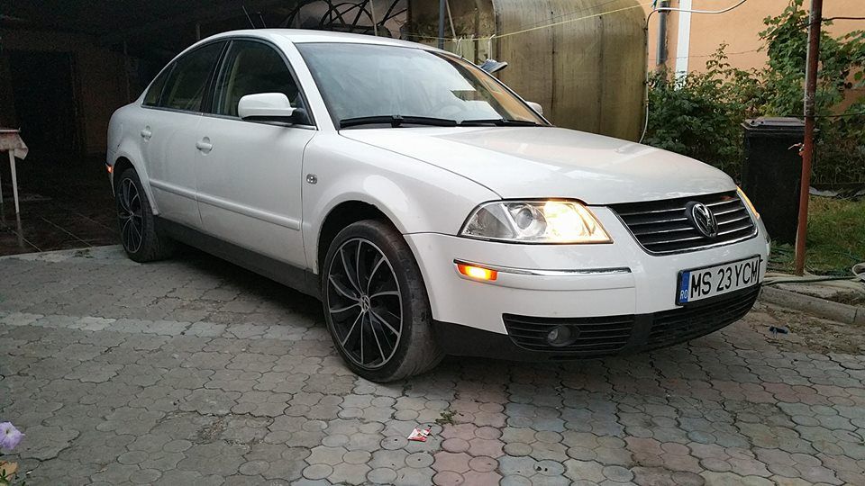 13669216_931839496945570_750517403459820