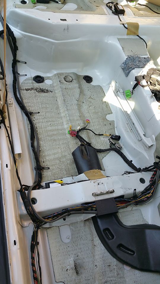 13681033_928582843937902_660626265660720