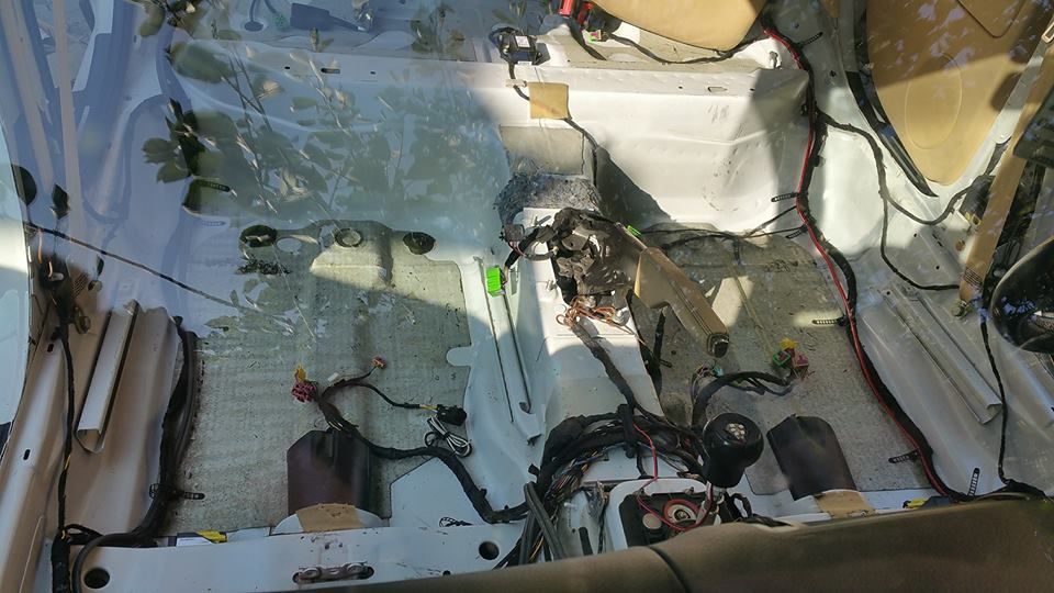 13709898_928582737271246_419284509607645