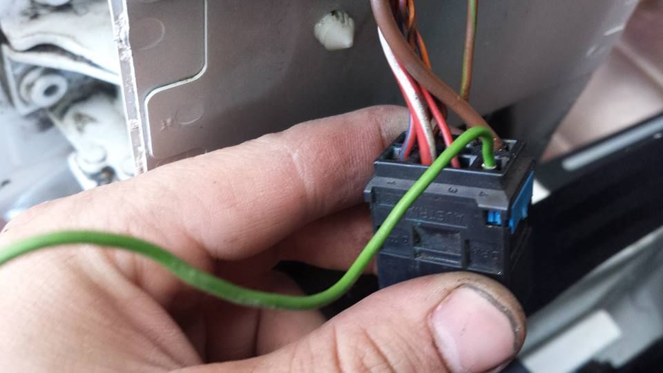 1560452_10200372147502124_49305295421451