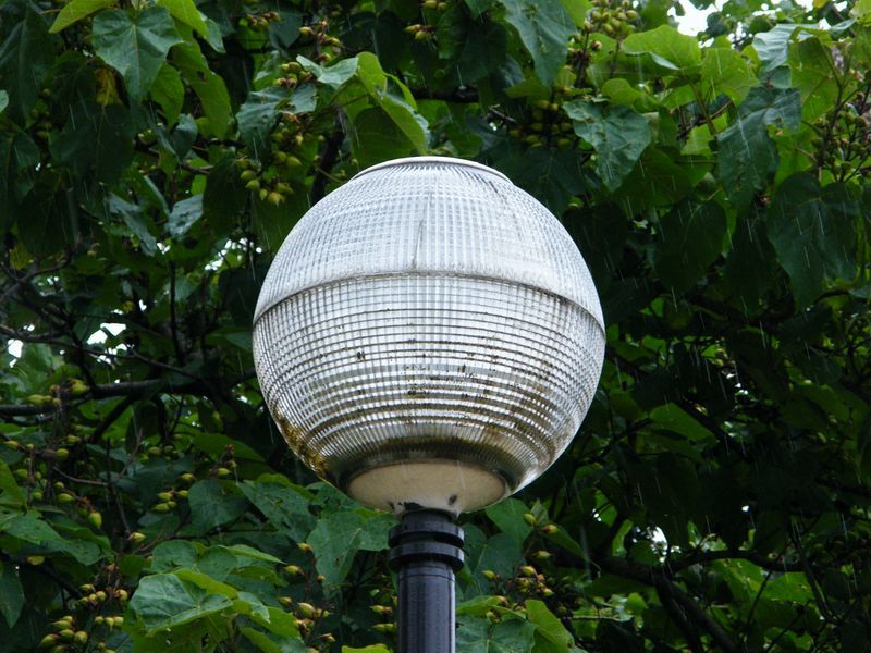 DSCF7481.jpg