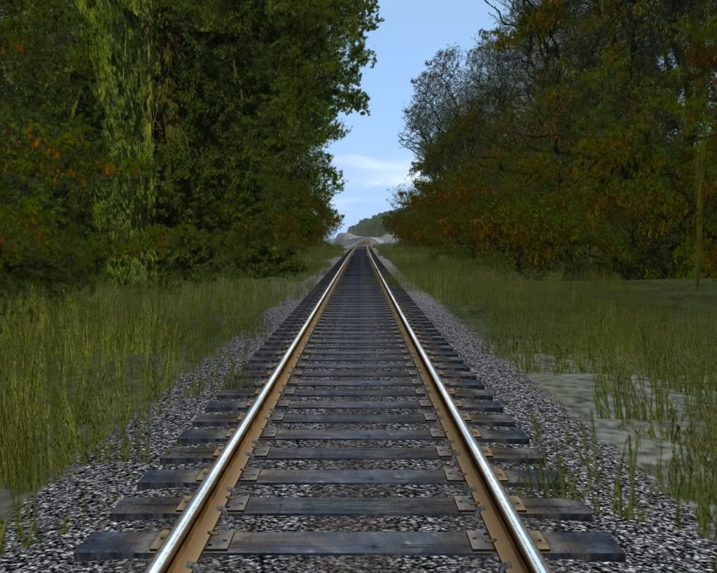 pjl31.jpg