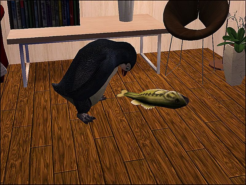 20120224190542593.jpg