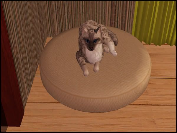 20120225162327906.jpg