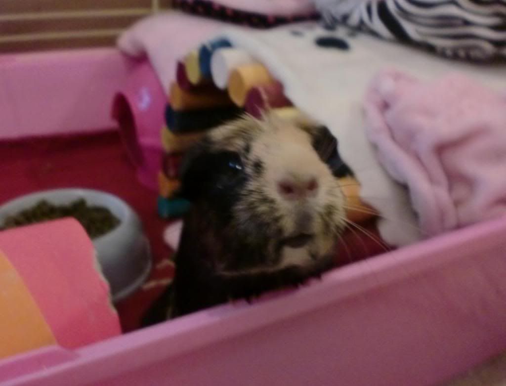 snuffles1.jpg