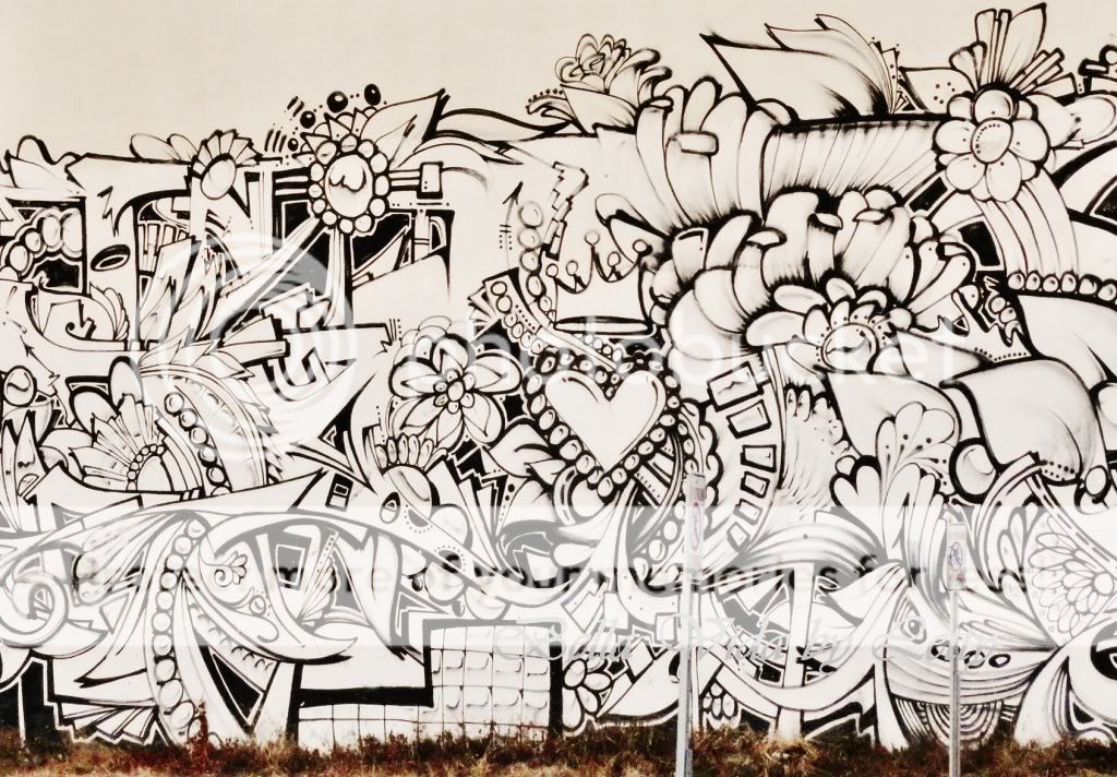 Miami Wynwood Walls Graffiti murals