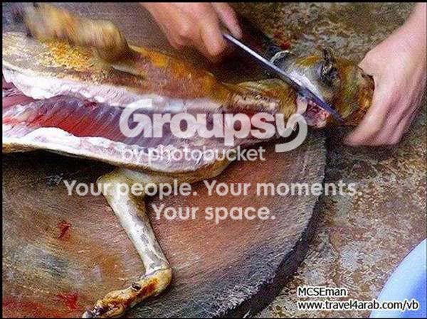 1319983854.jpg