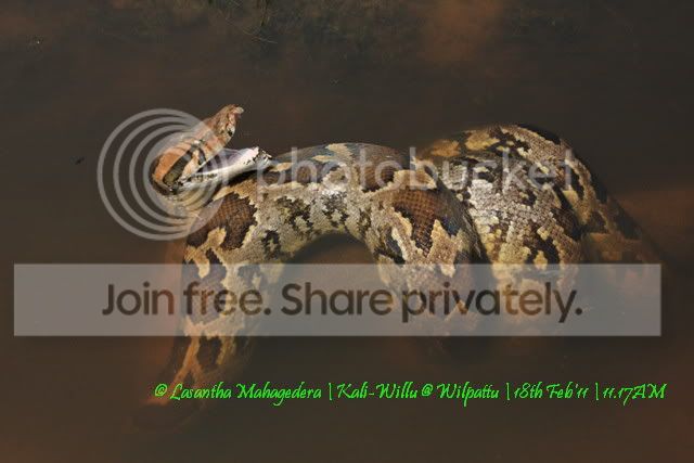 2C109433.jpg