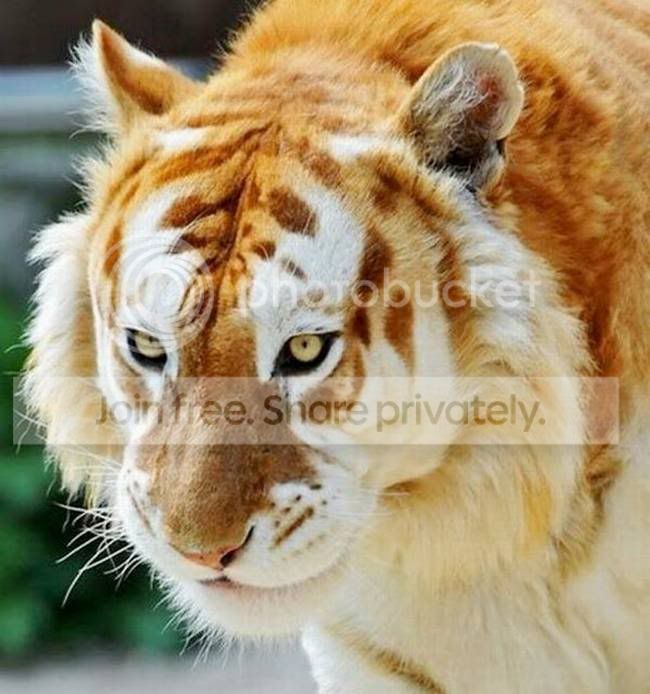 Ritemail_Blogspot_Com_005.jpg