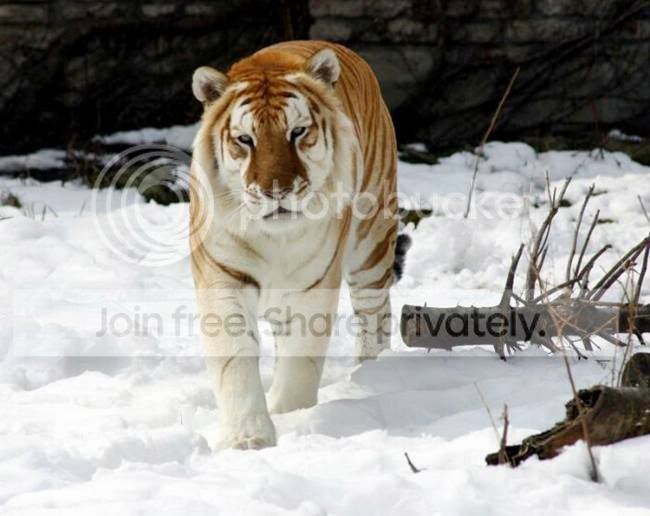 Ritemail_Blogspot_Com_006.jpg