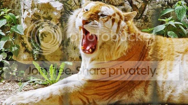 Ritemail_Blogspot_Com_007.jpg