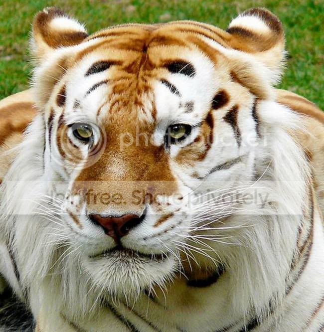 Ritemail_Blogspot_Com_008.jpg