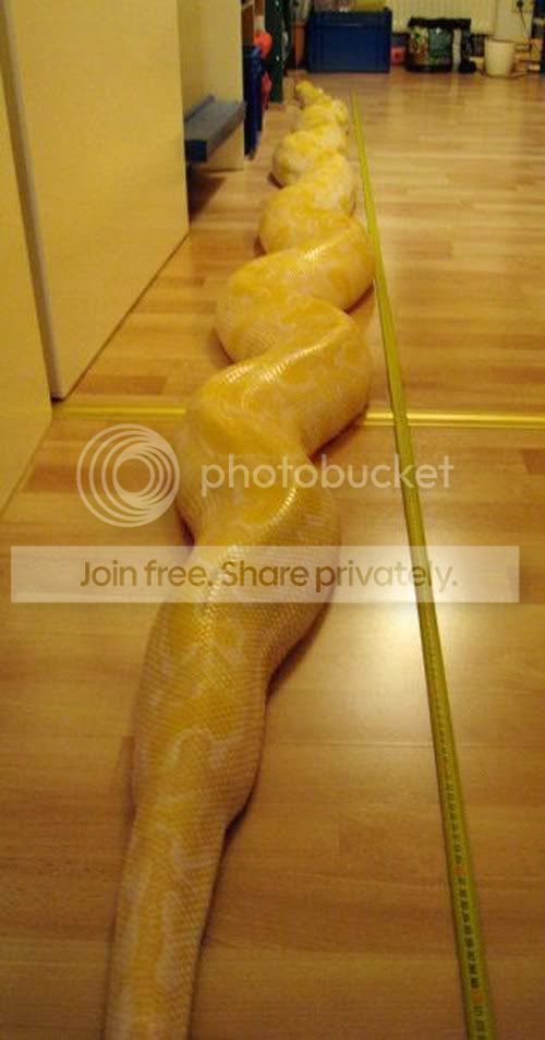 Would-You-Want-This-Pet-0077.jpg
