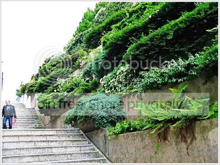 garden_09.jpg
