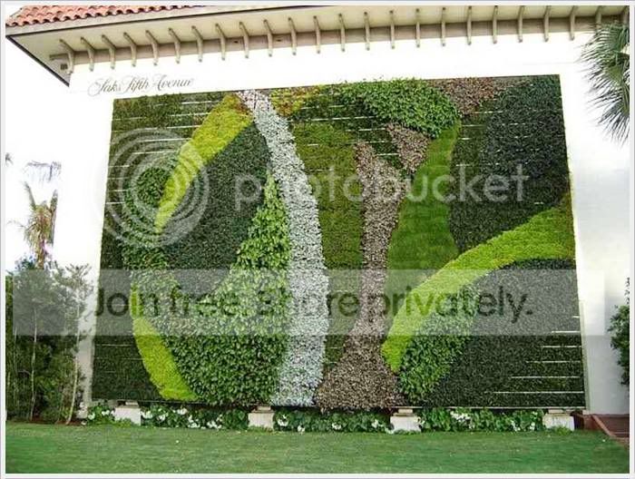 garden_14.jpg