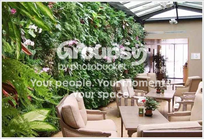garden_18.jpg