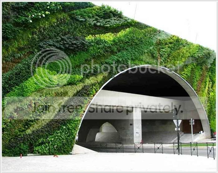 garden_20.jpg