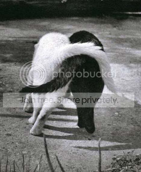 image006.jpg
